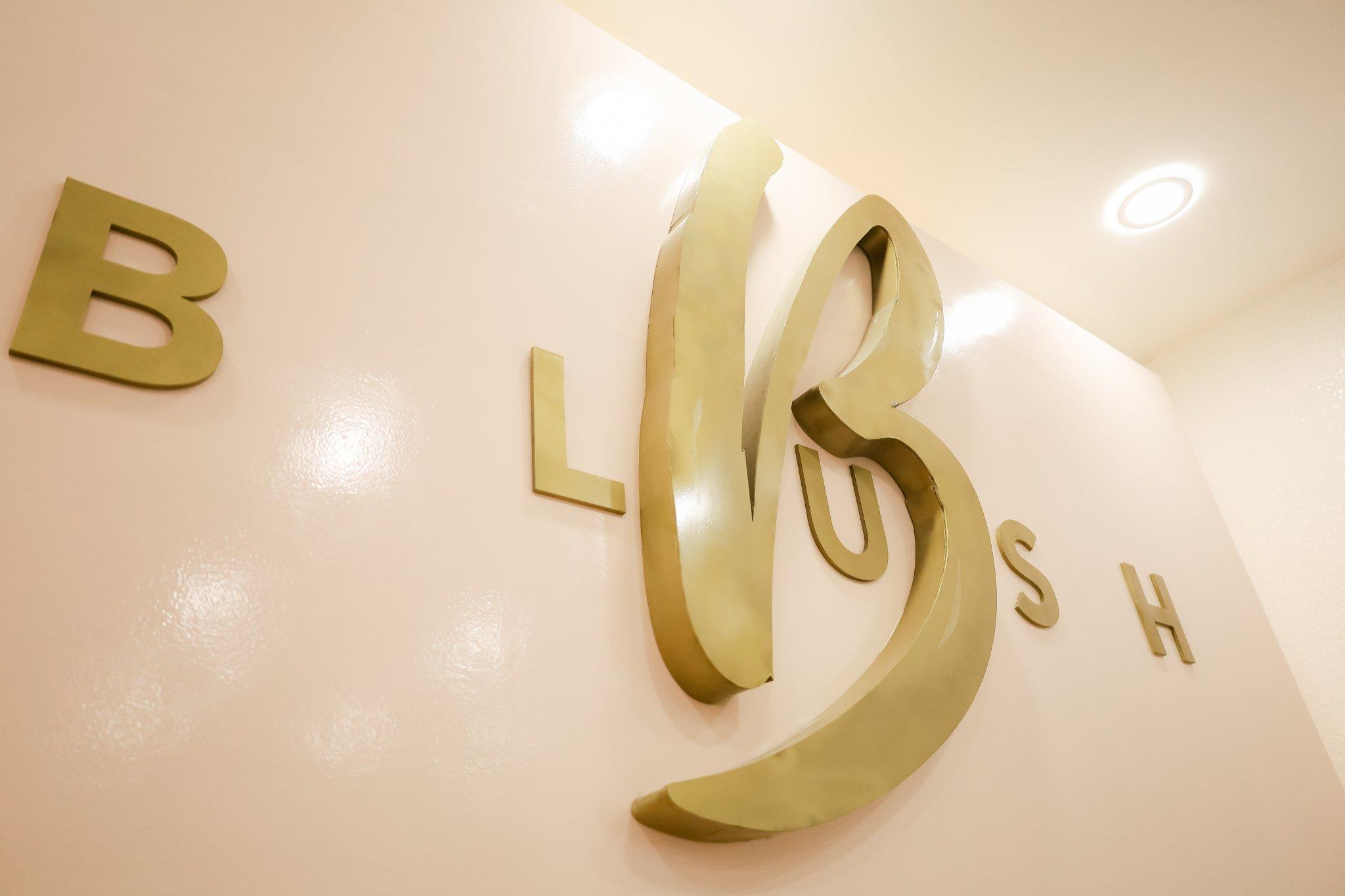 Blush Spa Aesthetics — photo 6
