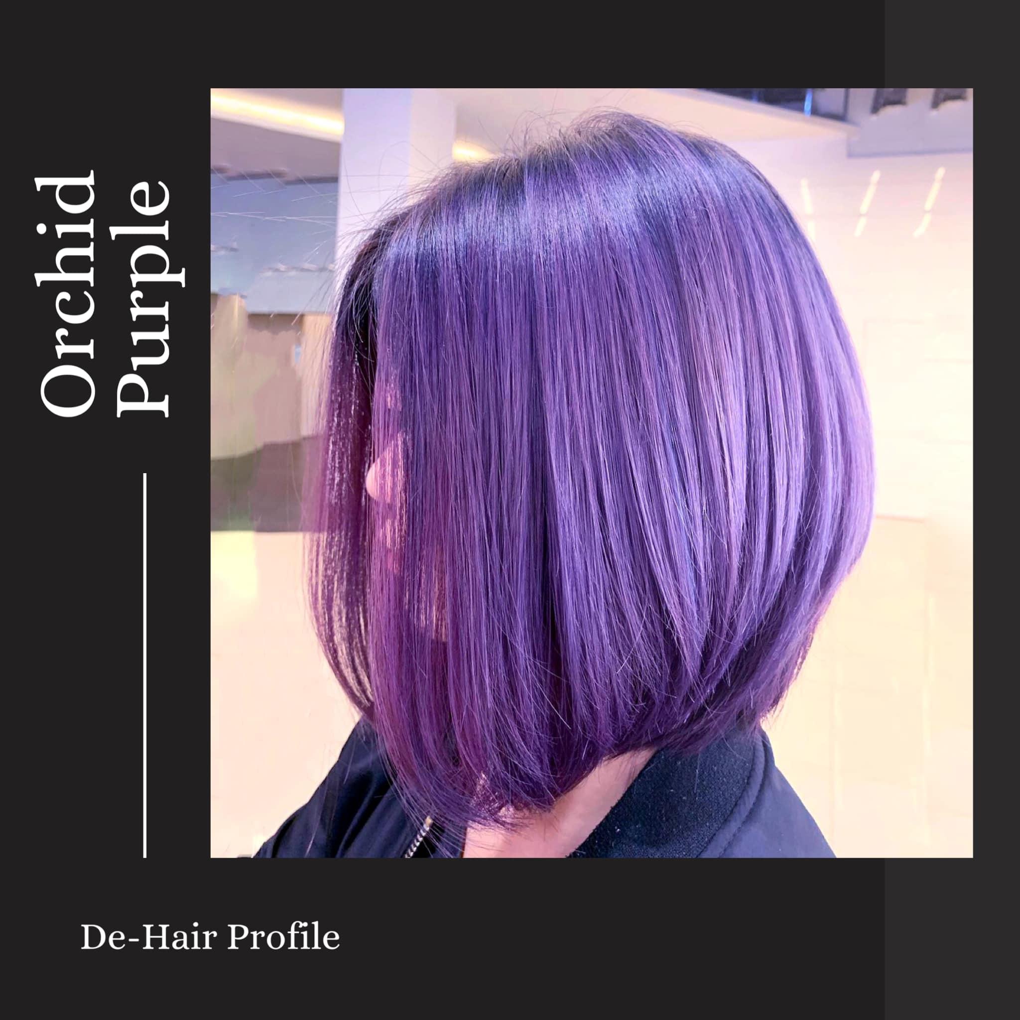 Salon photo 4