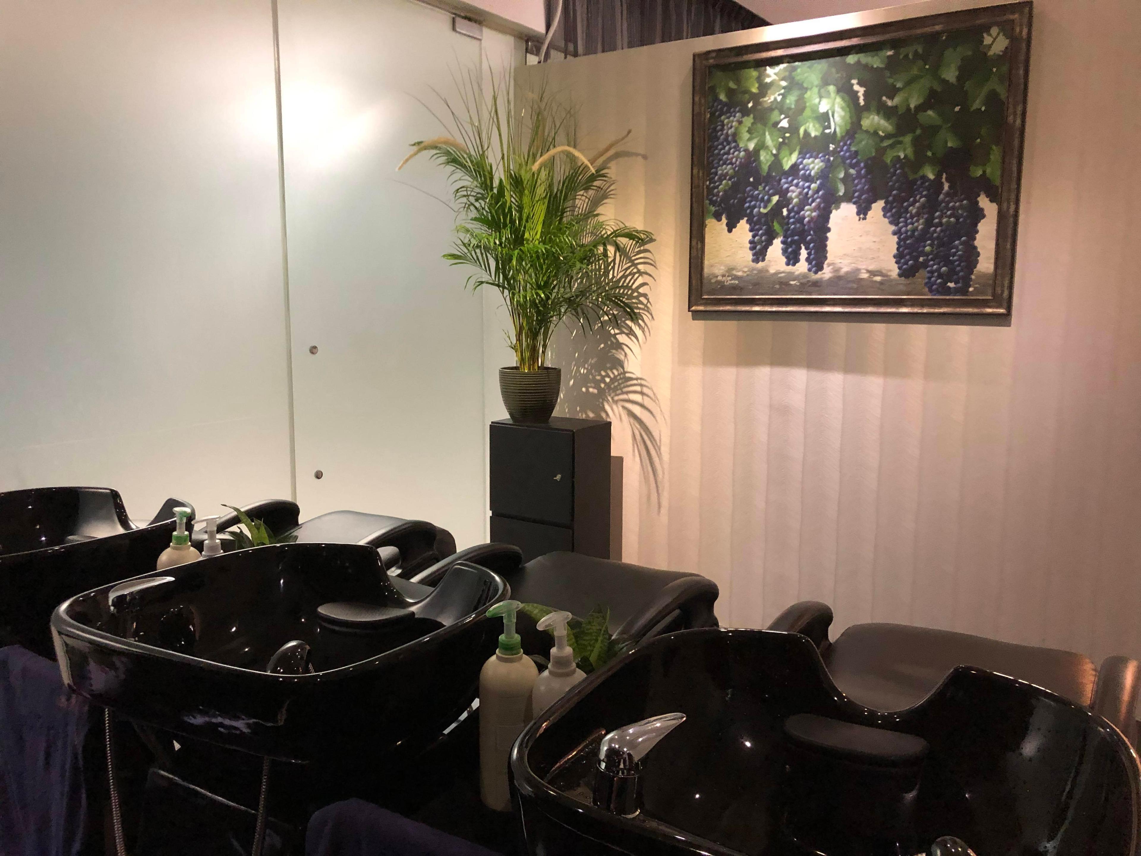 Salon photo 4