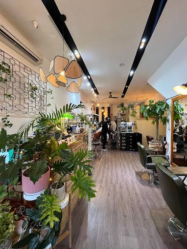 Salon5 — photo 9