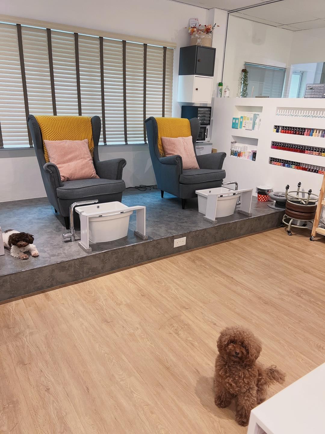 Salon photo 1
