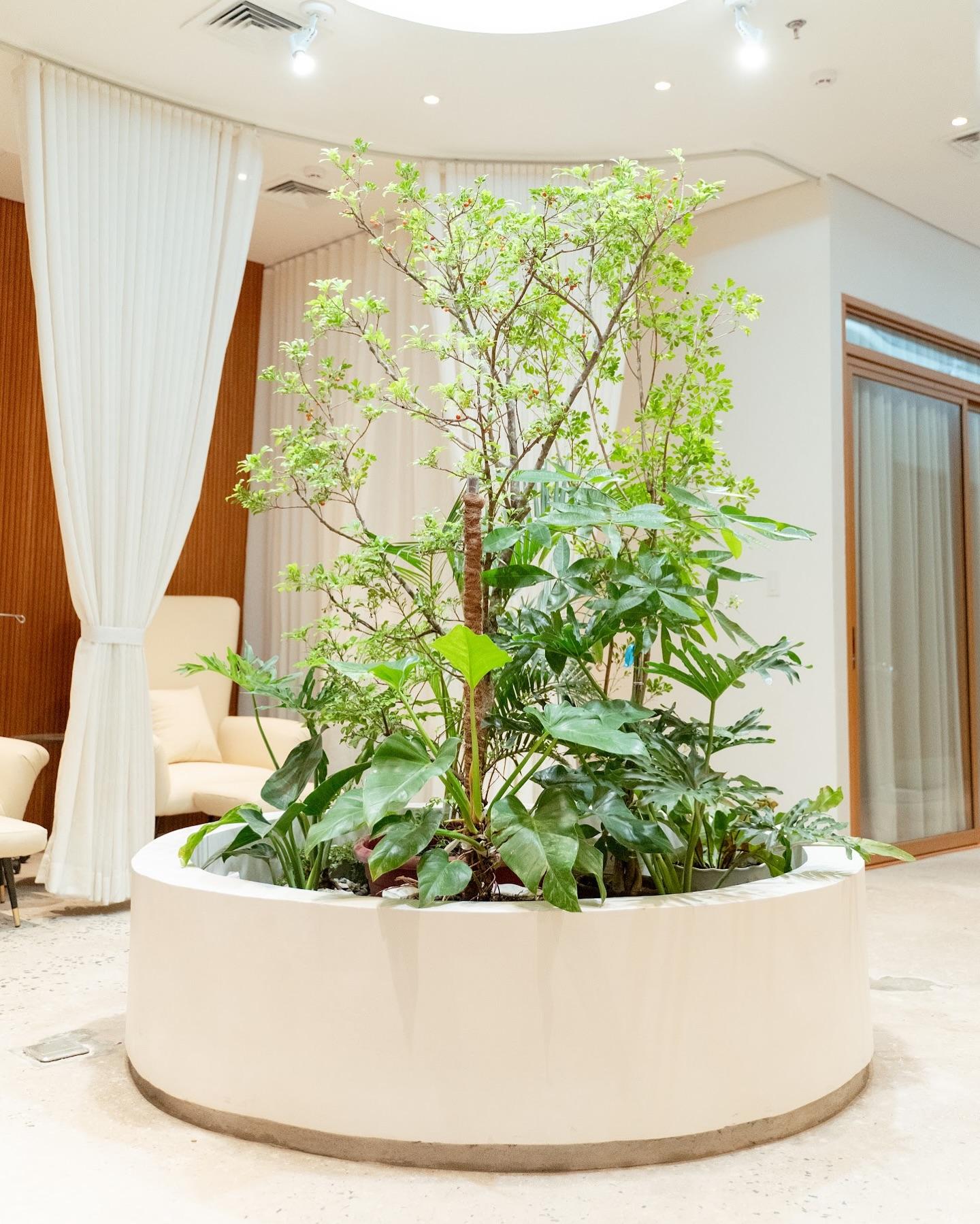 BIOVITALIS By Centro Holistico — photo 7