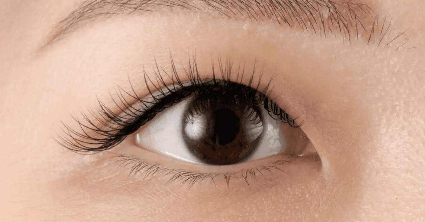 Single Lash in Bloom