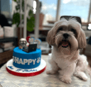 [Lovable] Lucky 8 Salon logo