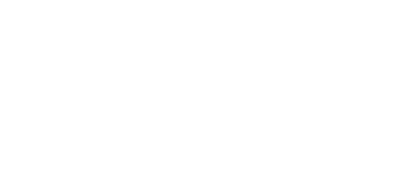 Parlon Pros